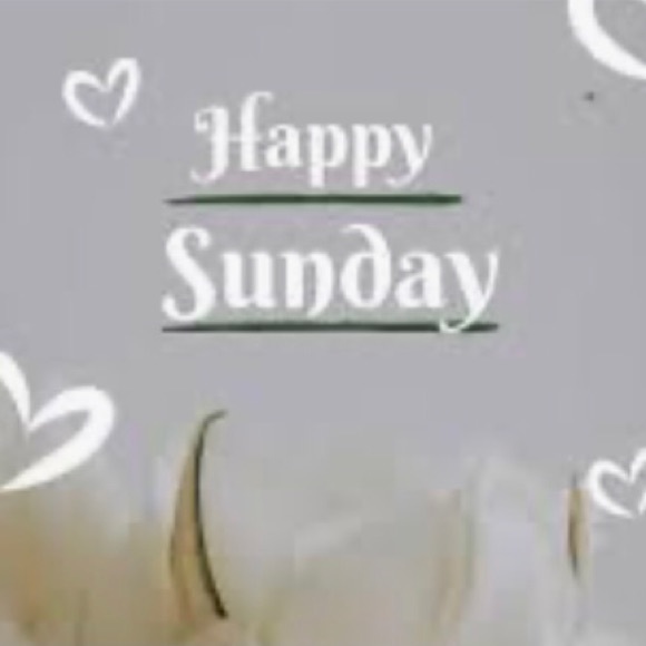 🌼Offers Welcome🌼 - Picture 14 of 14